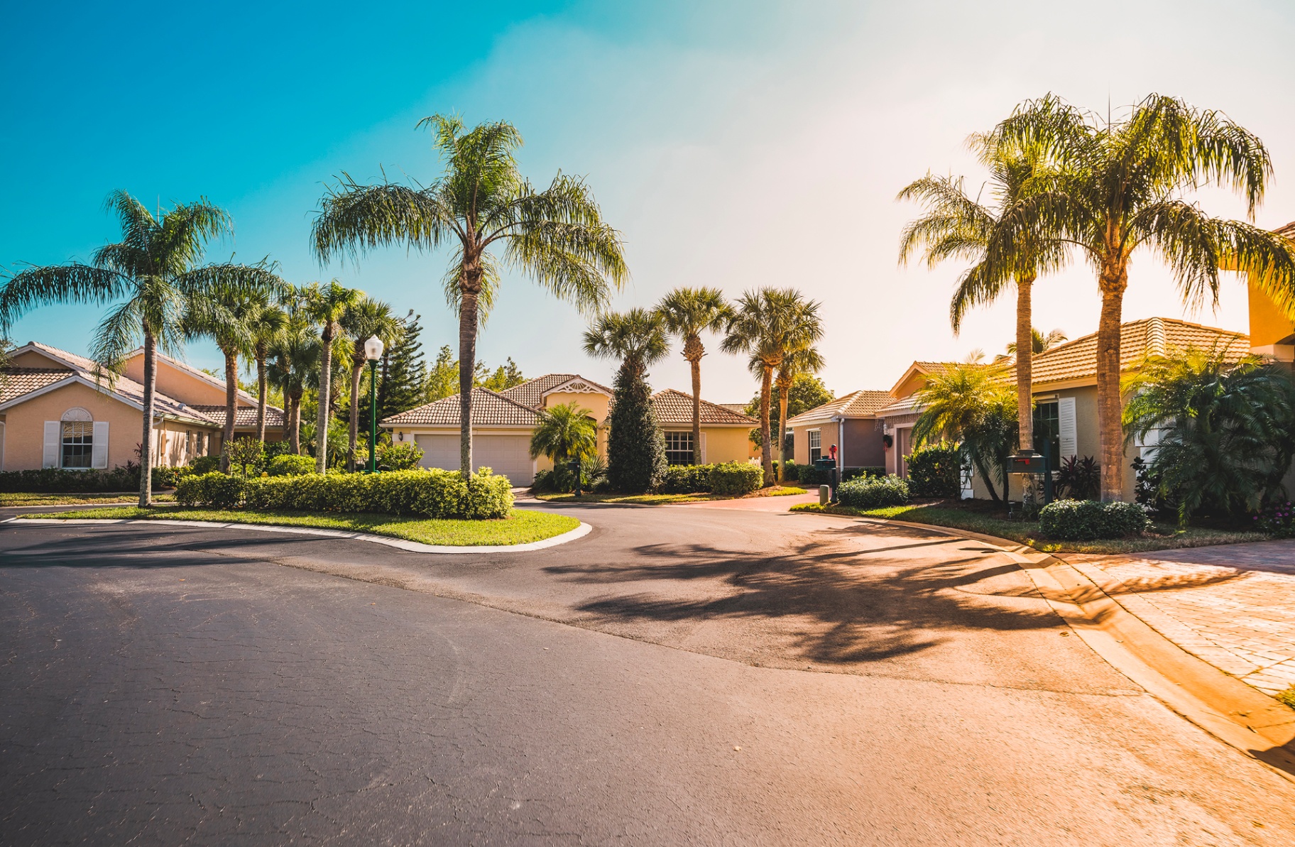 Florida palm-lined neighborhood